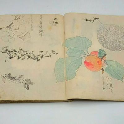 Meiji Period Japanese Sketch Books with Hand Drawn & Colored Illustrations