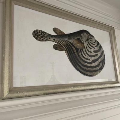Art:  Nile Puffer Fish TFC6 - Trowbridge Gallery a reproduction of Marcus Block's art work.