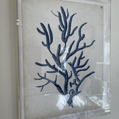 Blue Coral floating frame