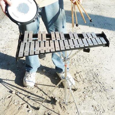 Xylophone instrument +