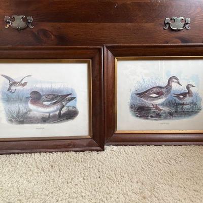 2x duck prints- Gadwall & Wigeon, signed "DNP"?