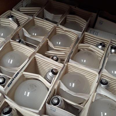 Box of Old Light Bulbs