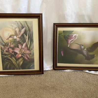 pair of framed hummingbird picture