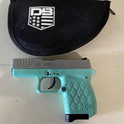 ladies Diamond Back 9mm hand gun