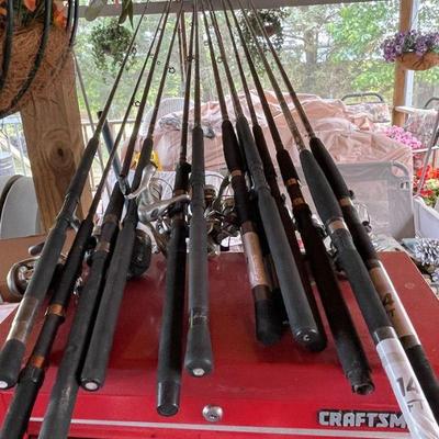 assortment of crappie rods & reels