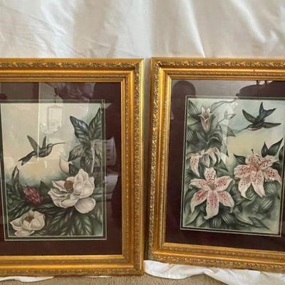 gold framed hummingbird pictures