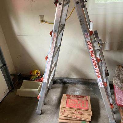Little Giant ladder