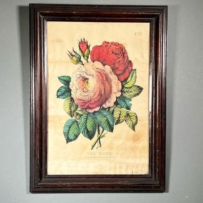 CURRIER & IVES ROSE PRINT | Titled â€œThe Rose, in a wood frame.