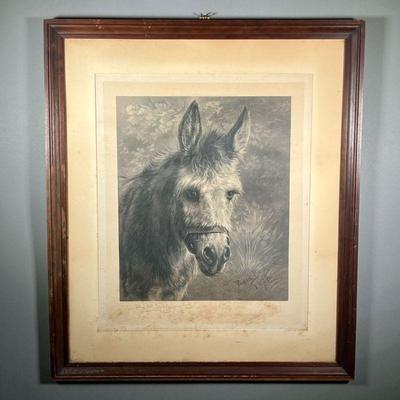 ROSA BOHNEUR (1822-1899) | Donkey Engraving. Dated and signed in the plate, with blind stamp lower left. Dimensions: w. 26.5 x h. 31 in