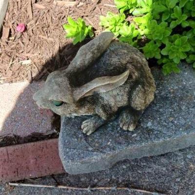 Garden bunny