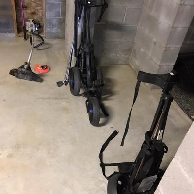 3 week golf carrier $18