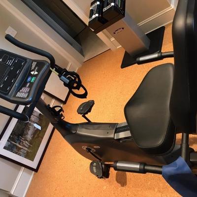 Vision Fitness recumbent bike $395
weight bench $145