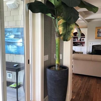 Faux banana plant $199
2 available