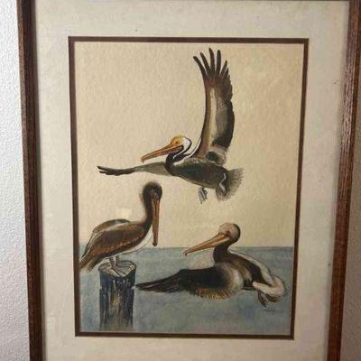 Pelicans on the Ocean, Watercolor. Artist Cerveny