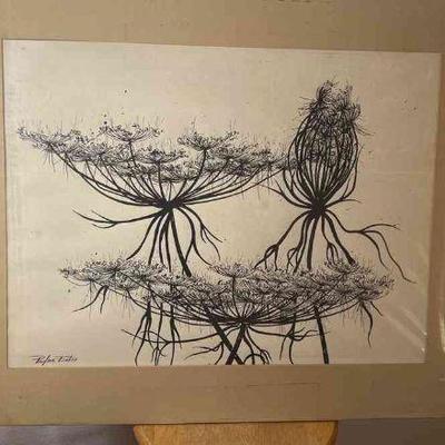 Queen Anne's Lace sketch