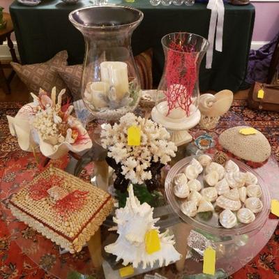 Natural shells and coral
