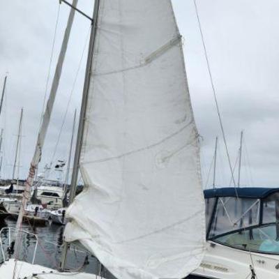 SAILS ARE IN GOOD CONDITION