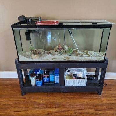 Fish tank with stand and one fishy 