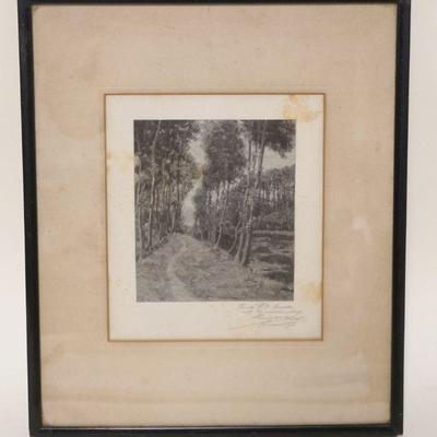 1047	SIGNED ENGRAVING OF TREE LINES IN A FORREST, APPROXIMATELY 12 IN X 15 IN OVERALL
