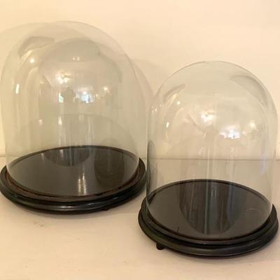Glass display domes, 14 1/2 wd. x 16 ht.