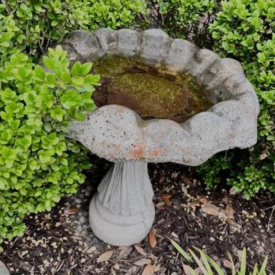 Bird Bath