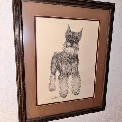Schnauzer Pencil Drawing by Taylor Oughton