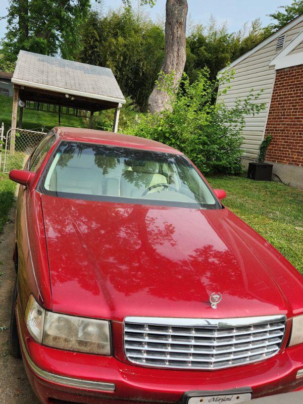 Spirited, Social, Silver Spring Estate Sale