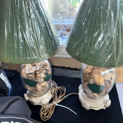 Shell lamps