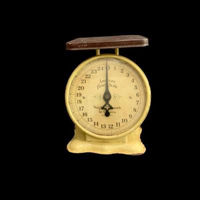 Vintage Metal American Family Scale