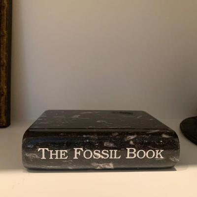 Soiled Stone â€œFossil Bookâ€