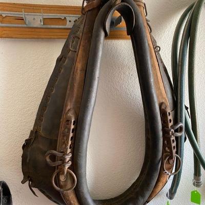 Antique Horse Harness