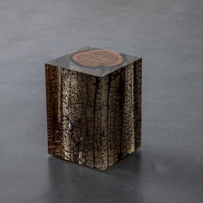 https://auctions4america.proxibid.com/Auctions-4-America/Natural-and-Resin-Live-Edge-Tables-Los-Angeles-CA/event-catalog/243587