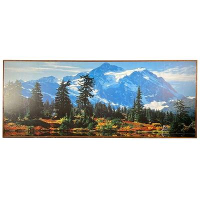 LARGE MOUNTAINSIDE PICTURE | Large picture of flowery meadow and trees with large snowy mountains in background. Photo printed on large...