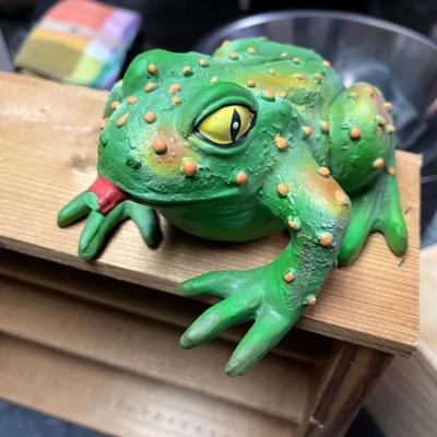 Frog Doy Toy