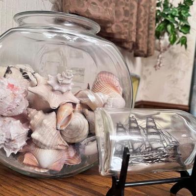 Shells