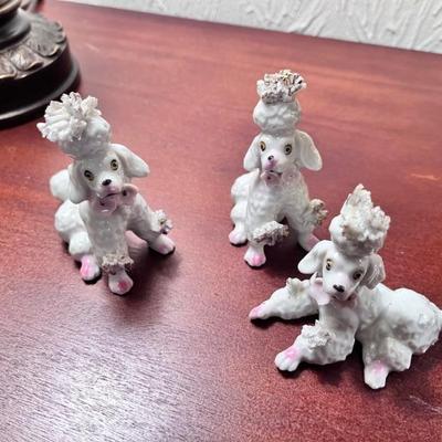 Spaghetti Poodles