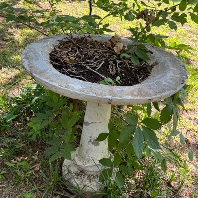 Birdbath 