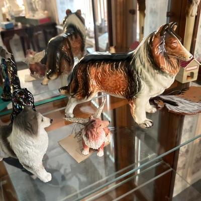 Collie Dog Collection