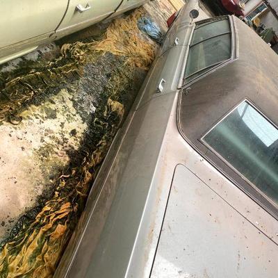 1965 Cadillac Fleetwood