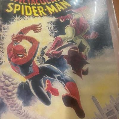 LOTS OF SPIDERMAN COMICS!