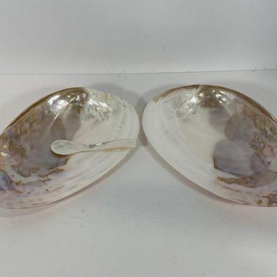 Natural Mother of Pearl Shells