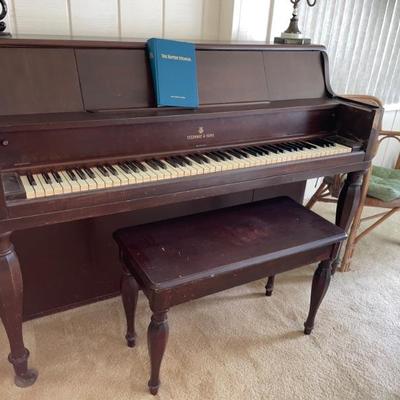 Steinway & Sons
 email offer to: jenny@tendercaretampa.com
