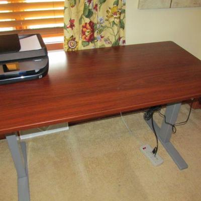 Loctek adjustable desk