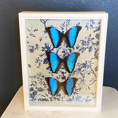 Real Butterflies in Shadow Box