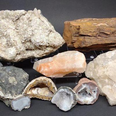 Quartz, Agate & Petrified Wood Mineral Specimens