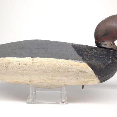 Sam Barnes Canvasback Decoy (re-headed)