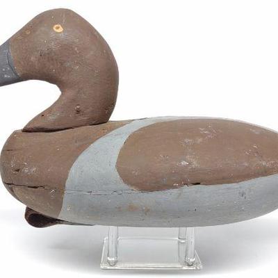 Susquehanna PA Canvasback Decoy w/ Copper Tag