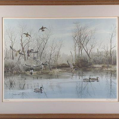 Maynard Reece Signed Numbered Duck Print