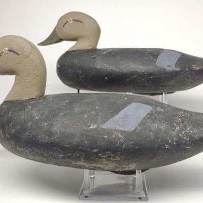 Pr Capt Jess Urie Oversize Black Duck Decoys