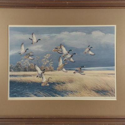Maynard Reece Signed Dark Sky-Mallards Duck Print